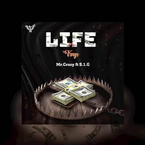 Life in Trap