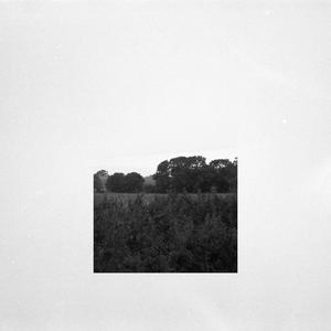 Fragment