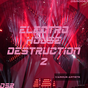 Electro House Destruction, Vol. 2