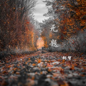 无题