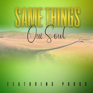 Same Things (feat. Phruu)