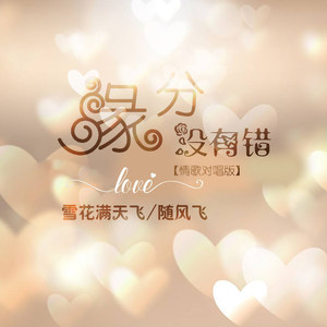 缘分没有错 (情歌对唱版)封面