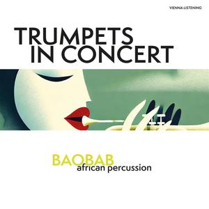 Baobab (african percussion)