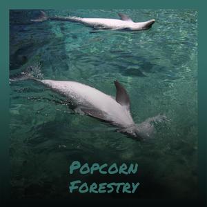 Popcorn Forestry