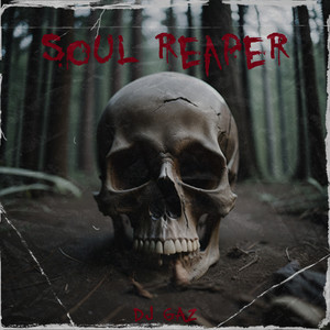 Soul Reaper (Explicit)