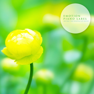 꿈꾸듯 반짝이는 별 (A Dreamlike Glittering Star)