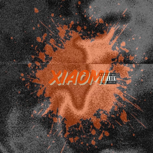 Xiaomi (Explicit)