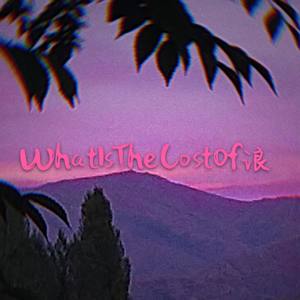 WhatIsTheCostOf浪？