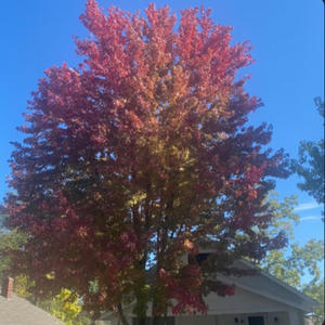 Don't Matter (feat. J Rizzy, S6ul & Official F8) (Explicit)