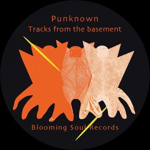 Tracks from the basement