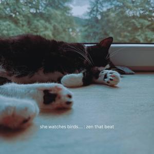 She Watches Birds