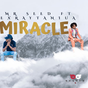 Mr Seed - Miracles