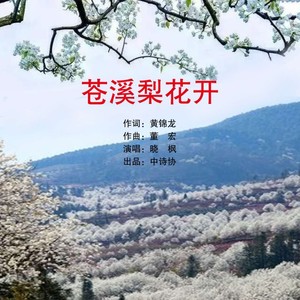苍溪梨花开 (伴奏)