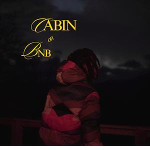 CABIN ON Bnb (Explicit)