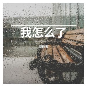 飞鸟和蝉 (DJ版)