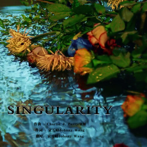 Singularity（Chinese Ver. ）（Cover 金泰亨）