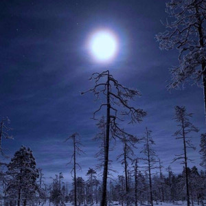 20Four Songs (Explicit)