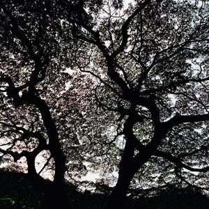 Skin (feat. kairu) (Explicit)