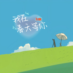 杨钰莹 - 我在春天等你 (DJ默涵版)