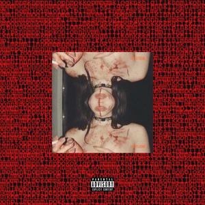 red flag!! (feat. Kross Irwin & sheluvstyyy) [Explicit]