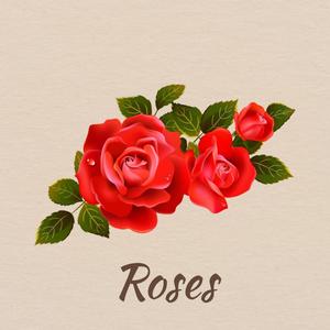 Roses (feat. NSINGI)