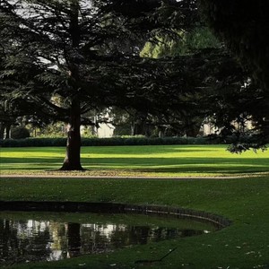 Steady Development (Radio Edit)