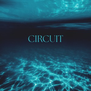 Circuit