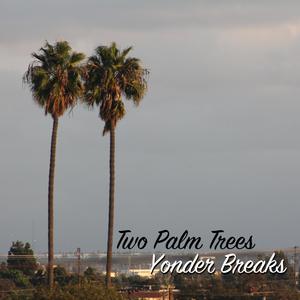 Two Palm Trees