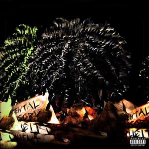 Really Be Havin' (feat. CincoThePlugg) (Explicit)