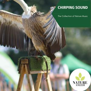 Chirping Sound - The Collection of Nature Music