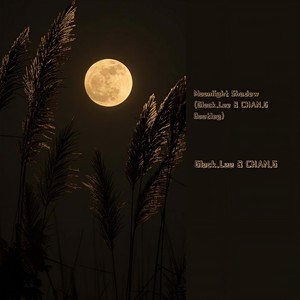 Groove Coverage-Moonlight Shadow(Glock.Lee & CHAN.G Bootleg) (Glock.Lee / CHAN.G remix)