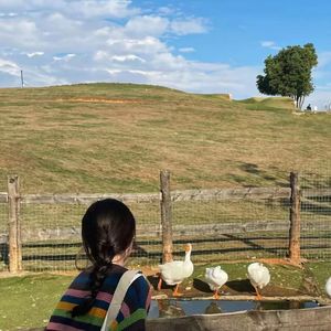 ACH - 感觉需要钱的那一刻