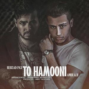 To Hamooni (feat. Amir A.H)