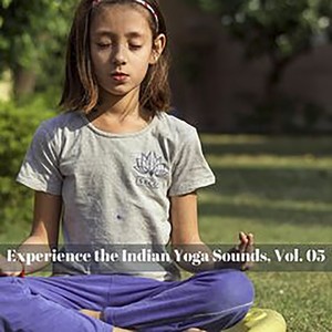 Dreaming About Enlightenment (Original Mix)