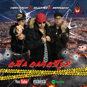 Gata Gangster (feat. Andrewssj & CabroJeremy) (Explicit)