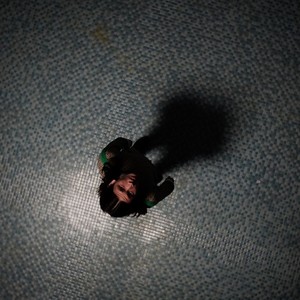 MOTH WINGS (Explicit)