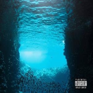 More Fish In The Sea (feat. Liam the Brand) [Explicit]