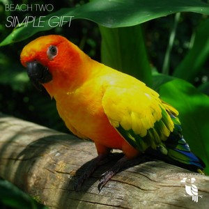 Simple Gift (M.d. House Mix)