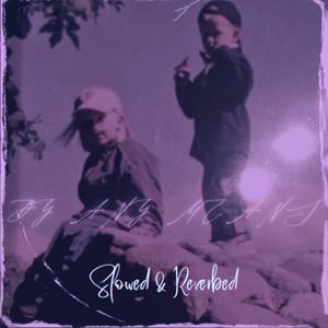 BY ANY MEANS NECESSARY (Slowed & Reverbed) (Explicit)