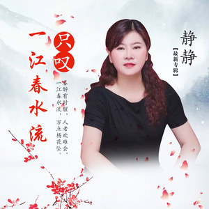 只叹一江春水流 (伴奏)