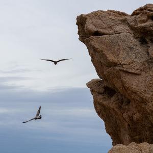 Kanagawa - No Eres Tú, Soy Yo (feat. Dionisio Razo)