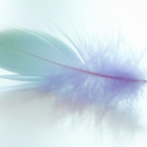 feather