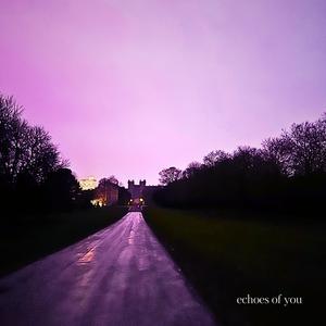 echoes of you (feat. dfwunair) (Explicit)