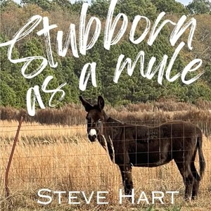 Stubborn as a Mule