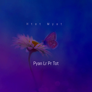 Pyan Lr Pr Tot (Explicit)