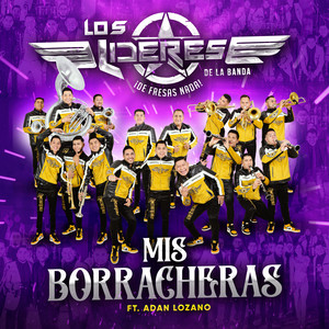 Mis Borracheras