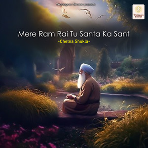 Mere Ram Rai Tu Santa Ka Sant