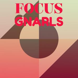 Focus Gnarls