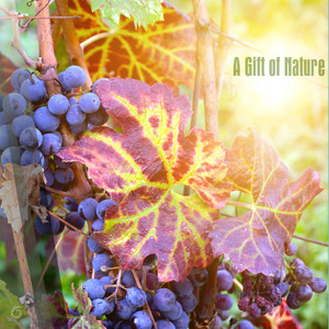 Cloud 9 (Original Mix)