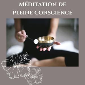 Méditation de pleine conscience: New age pour mindfulness